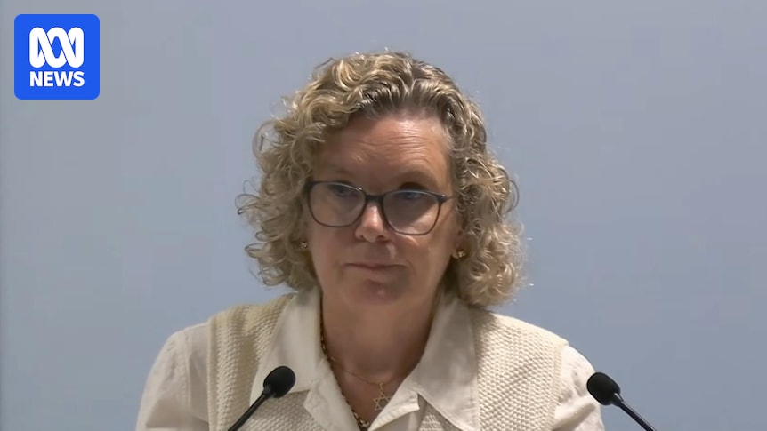 Jewish NSW Health worker tells antisemitism royal commission of workplaces incidents, impact of threatening video
