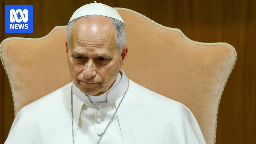 Pope Leo warns of AI becoming 'yet another Tower of Babel' in encyclical