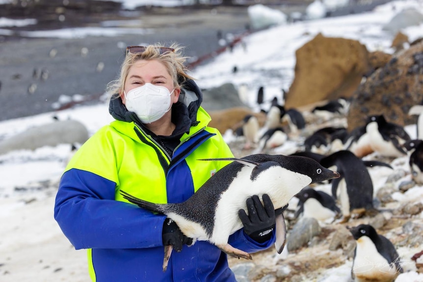 A woman in a facemask holding a small penguin.