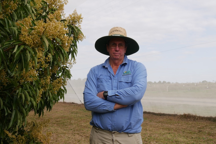 A farmer stands next to a lychee tree looking sternly at the camera.