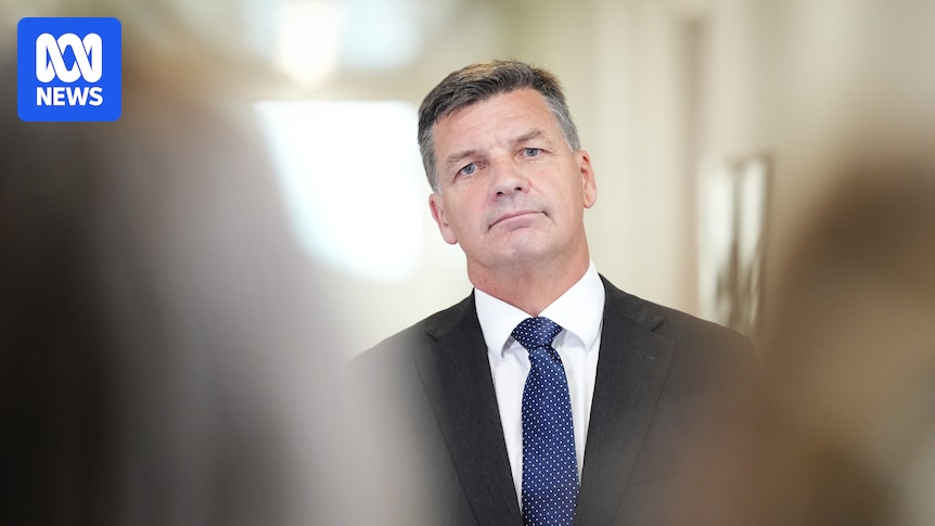 Coalition to bar non-citizens from welfare, NDIS under fresh migration policy