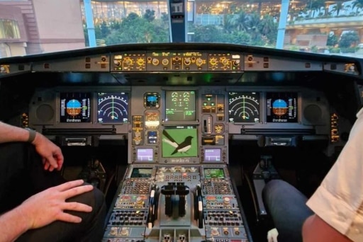 A willie wagtail painting pictured in an aeroplane's cockpit.