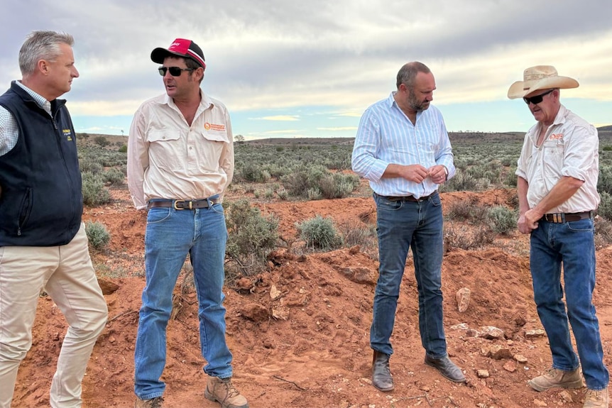 Four men standing in a line in conversation on a mount of dirt in front of light green shrubbery extending into the horizon