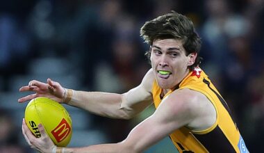 AFL round 12 teams and tips: A great day to be a Hawk as stars return for St Kilda clash