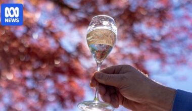 King Valley prosecco producers prepare for upcoming export label change for Italian wine variety