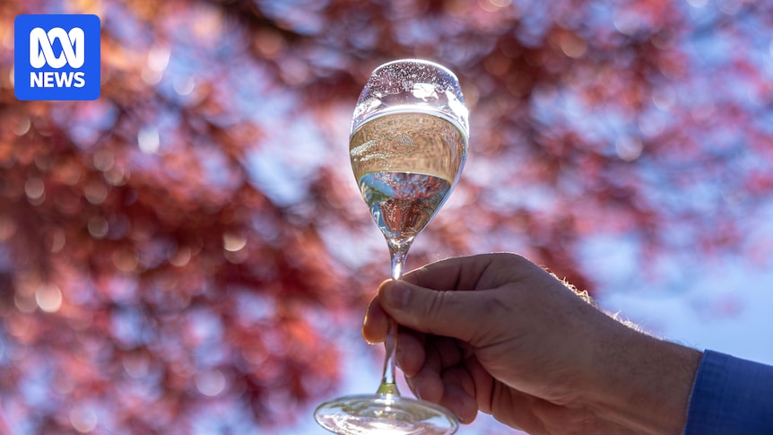 King Valley prosecco producers prepare for upcoming export label change for Italian wine variety