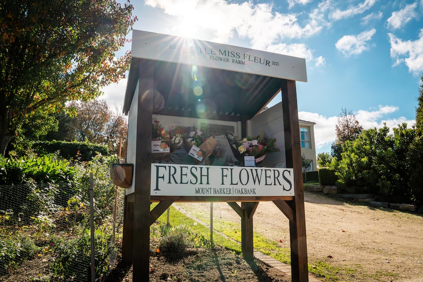 A wooden stall sits in the sunshine on a driveway, it is stocked with fresh, colourful flowers