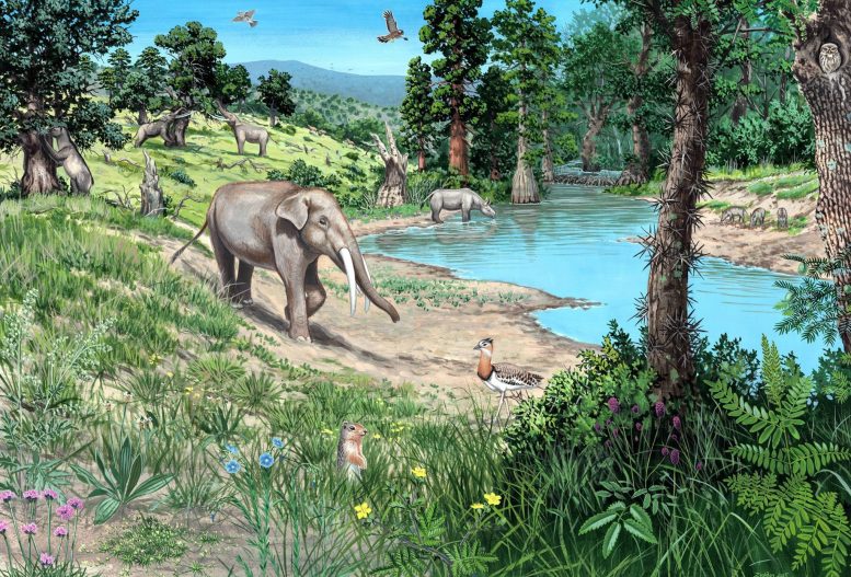 Artist Reconstruction of Miocene Woodland Landscape