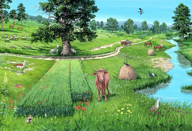 Artist Reconstruction of Preindustrial Holocene Landscape
