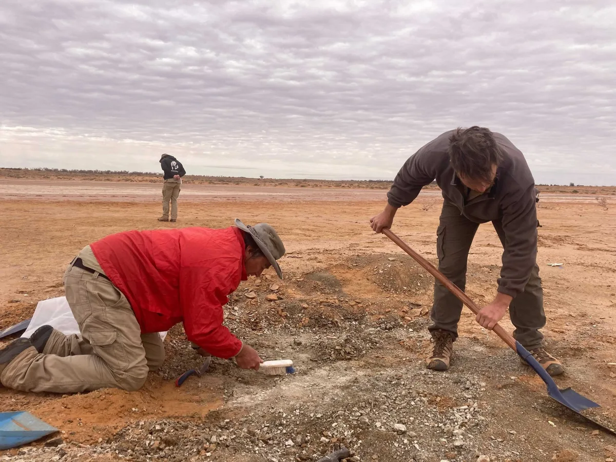 Associate Professor Trevor Worthy (left) excavating the fossil layer at Billeroo Creek in 2020 when the scapulocoracoid was found