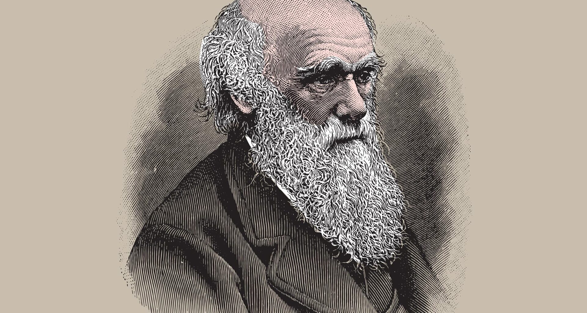 Charles Darwin Sketch