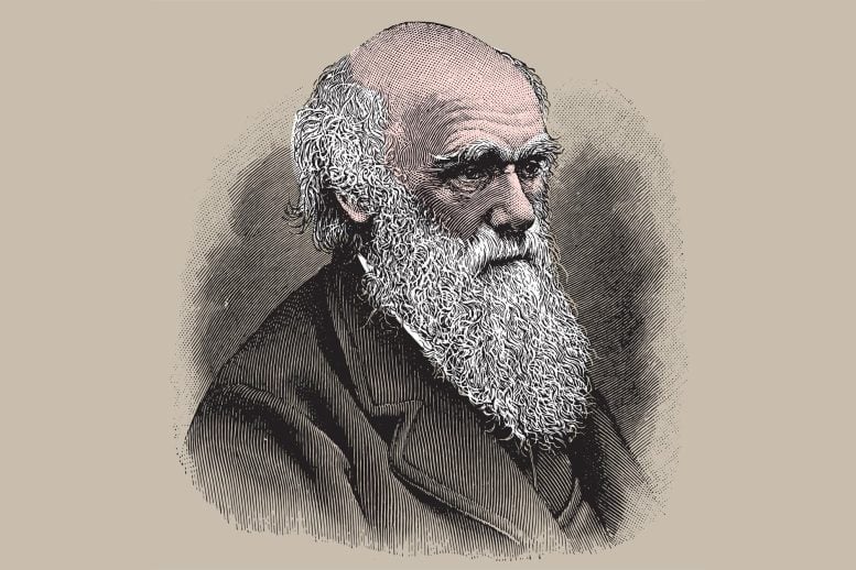 Charles Darwin Sketch