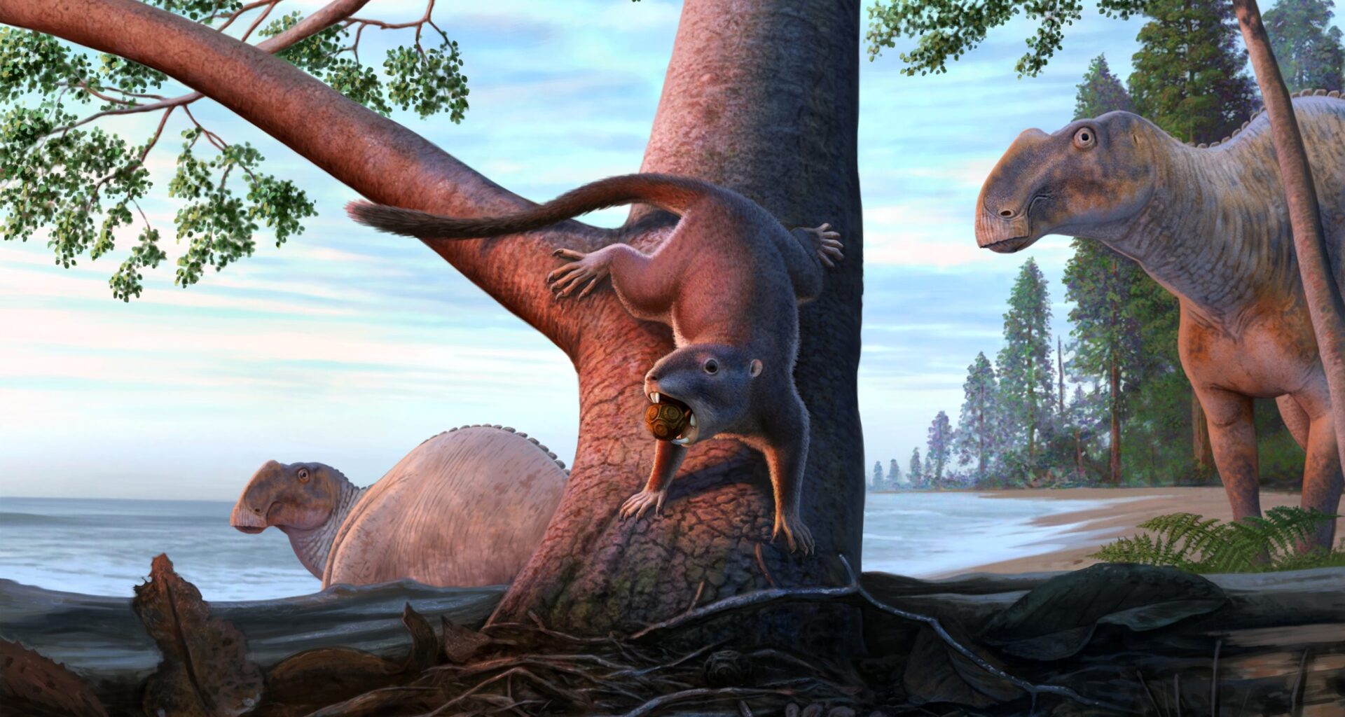 This Tiny Creature Survived a World of Dinosaurs and Changed What Came Next
