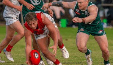 Melbourne Greyhounds Division 1 - Round 6 Preview