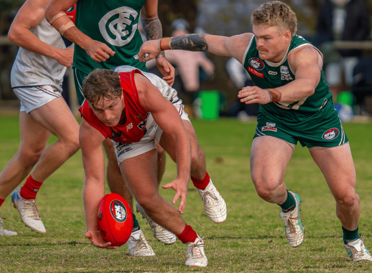 Melbourne Greyhounds Division 1 - Round 6 Preview