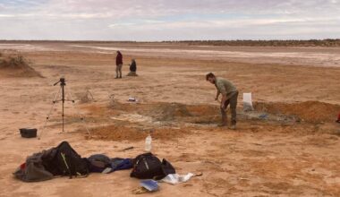 Excavations at the fossil site in Billeroo Creek in 2017