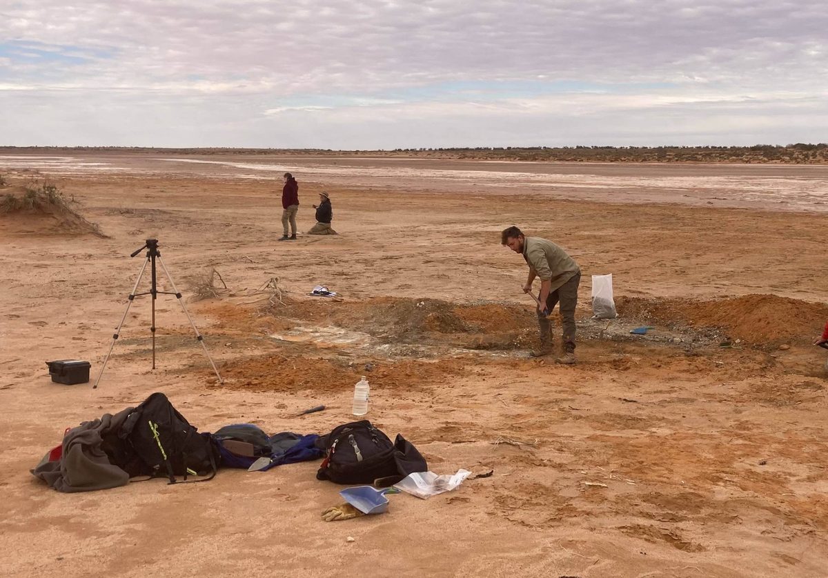 Excavations at the fossil site in Billeroo Creek in 2017
