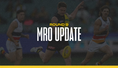Two Tigers charged by MRO