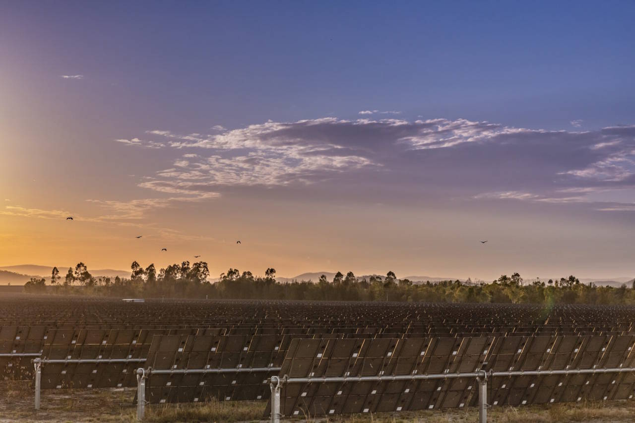 Australia's largest solar project changes shape as owner brings forward big battery to beat solar duck