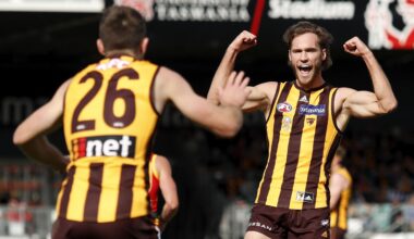 "Extremely disappointed": AFL ends club's long lasting relationship with Tasmania ahead of Devils joining
