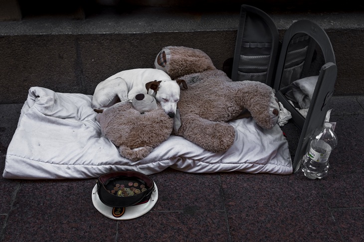Desperate tears, who cares? | The Spectator Australia