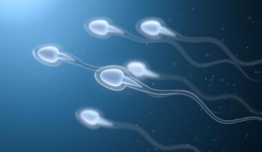 Human Sperm Cells 3D Rendering