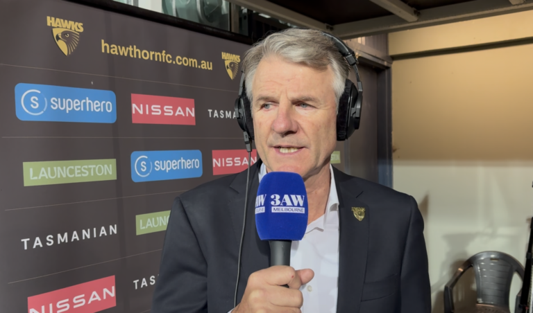Hawks president speaks on 'significant' impact of AFL's decision to kick them out of Tasmania