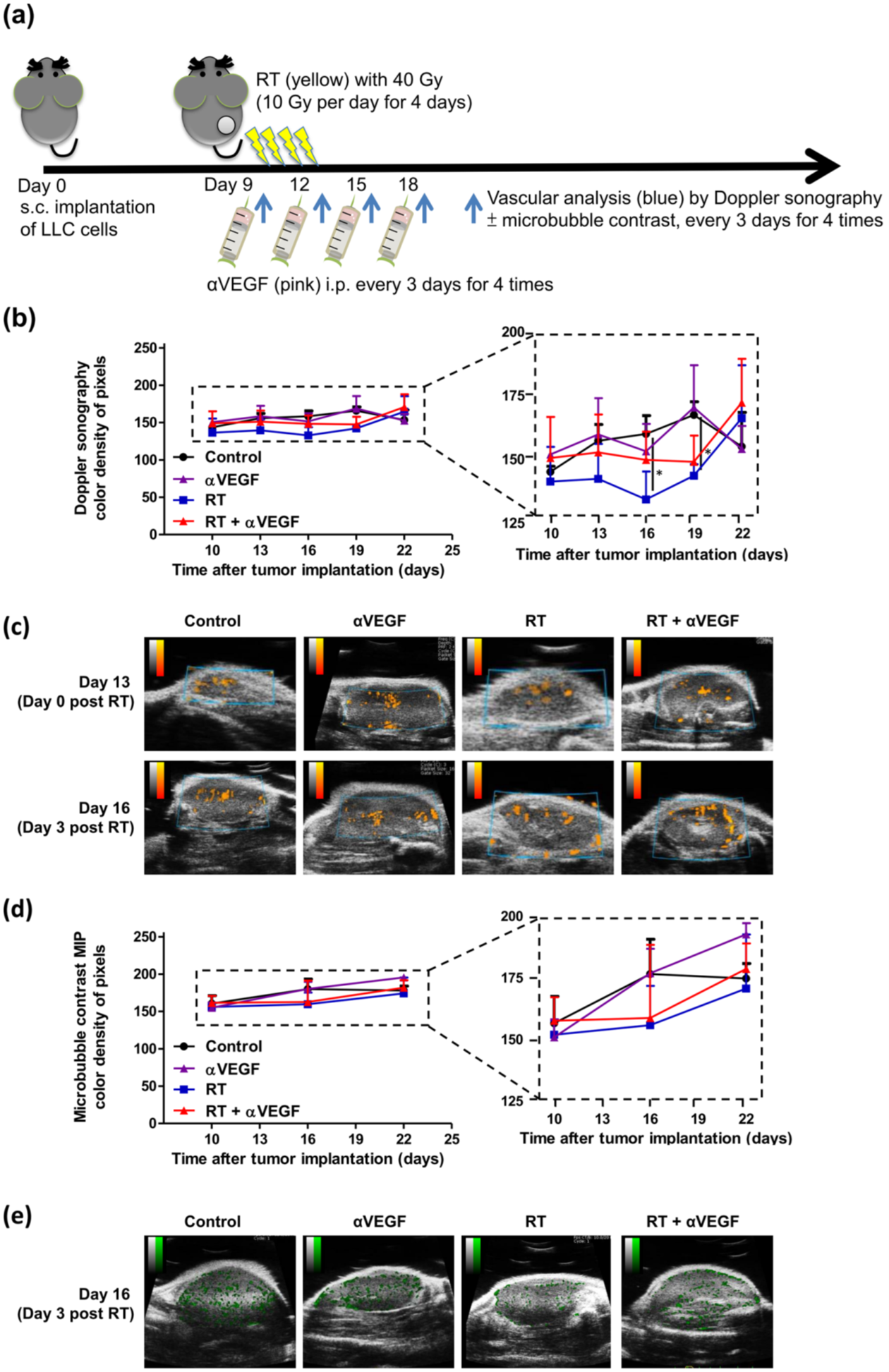 Tumor vasculature response to radiotherapy (RT) and anti-VEGF therapy