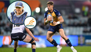 Wallabies: Joe Schmidt reveals what he expects from Zac Lomax 'over the next few weeks'