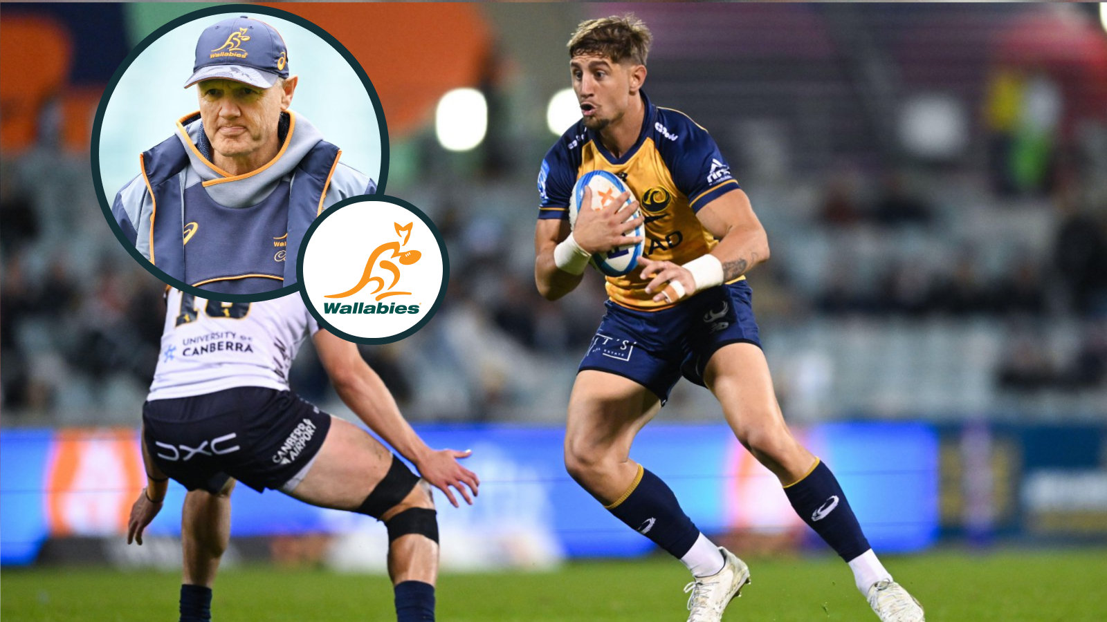 Wallabies: Joe Schmidt reveals what he expects from Zac Lomax 'over the next few weeks'