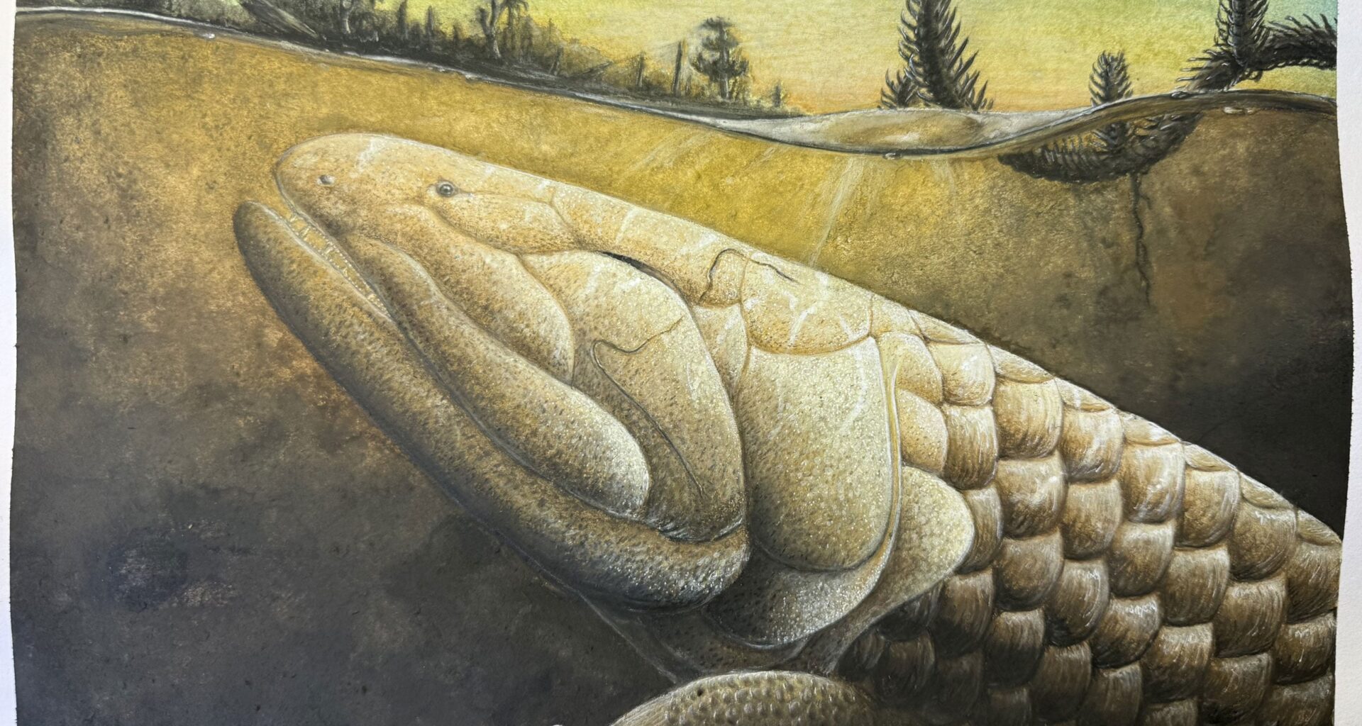 380-Million-Year-Old Fish Fossil Reveals Secrets of Life’s First Steps Onto Land