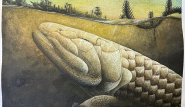 380-Million-Year-Old Fish Fossil Reveals Secrets of Life’s First Steps Onto Land