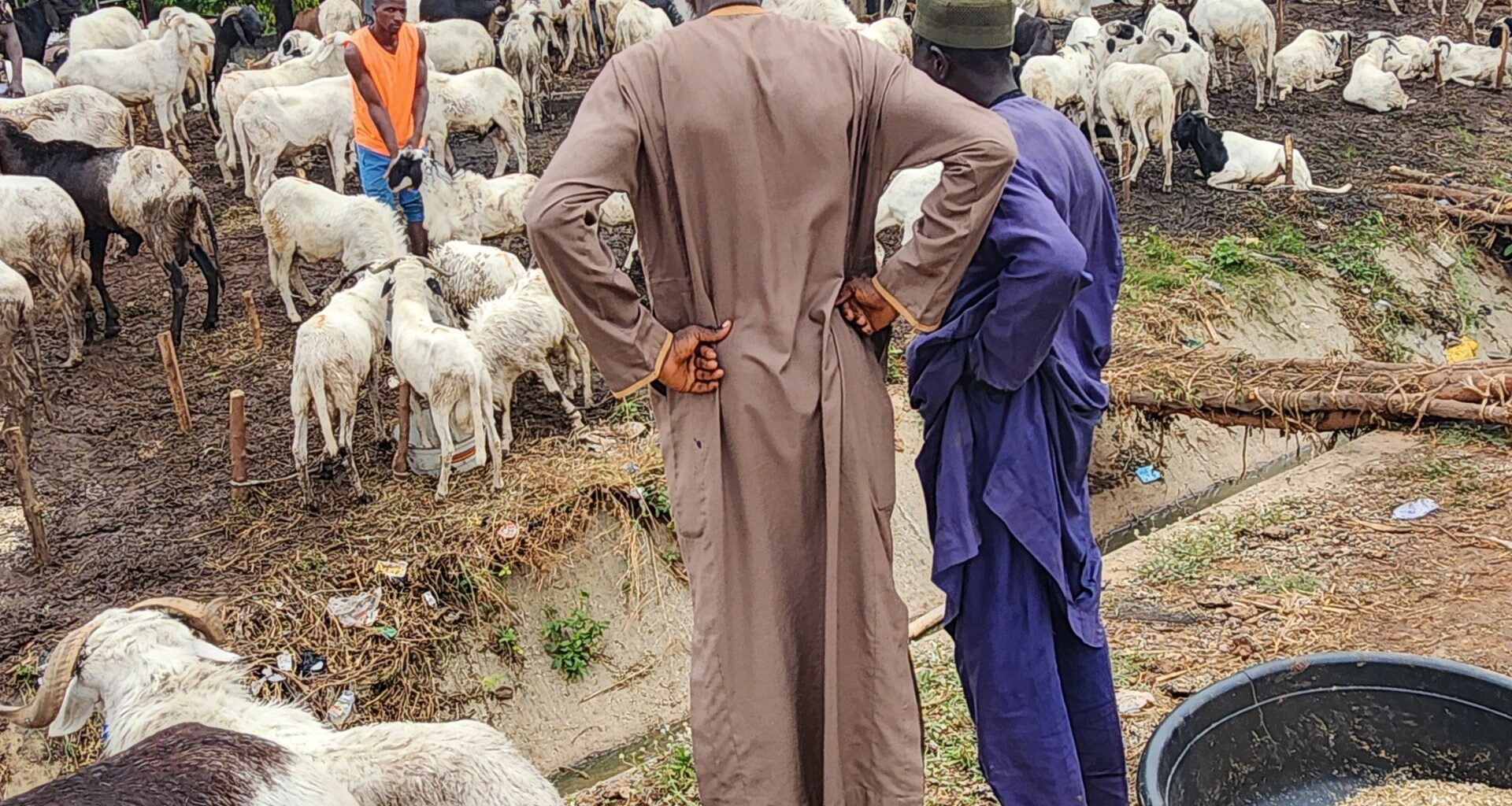 Cost of living crisis reshapes Eid spending in Nigeria | Business and Economy News