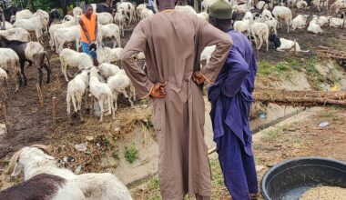 Cost of living crisis reshapes Eid spending in Nigeria | Business and Economy News