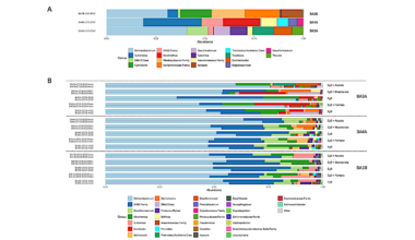 Microbial Growth Rates Captured Using Raman-SIP reveal A Highly Active Subsurface Biosphere Fueled By Serpentinization