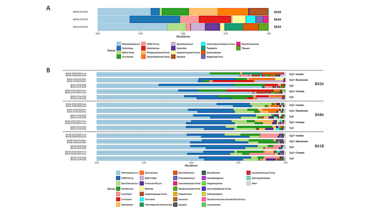 Microbial Growth Rates Captured Using Raman-SIP reveal A Highly Active Subsurface Biosphere Fueled By Serpentinization