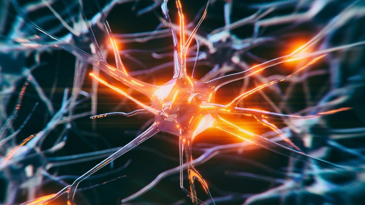 An Early Clue to Alzheimer's May Appear as Young as 45, Study Finds : ScienceAlert