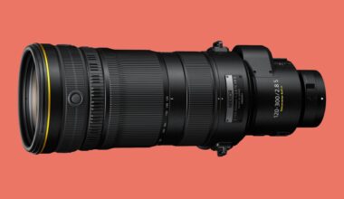 Nikon NIKKOR Z 120-300mm f/2.8 TC VR S in Development: A New Tele Zoom Hides a 1.4× Teleconverter