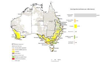 Aussie food consumers are about to get eaten by inflation