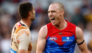Demons declare their intentions with stunning humbling of Hawks