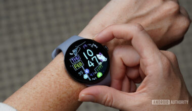 Pixel Watch 4 FishCat Face