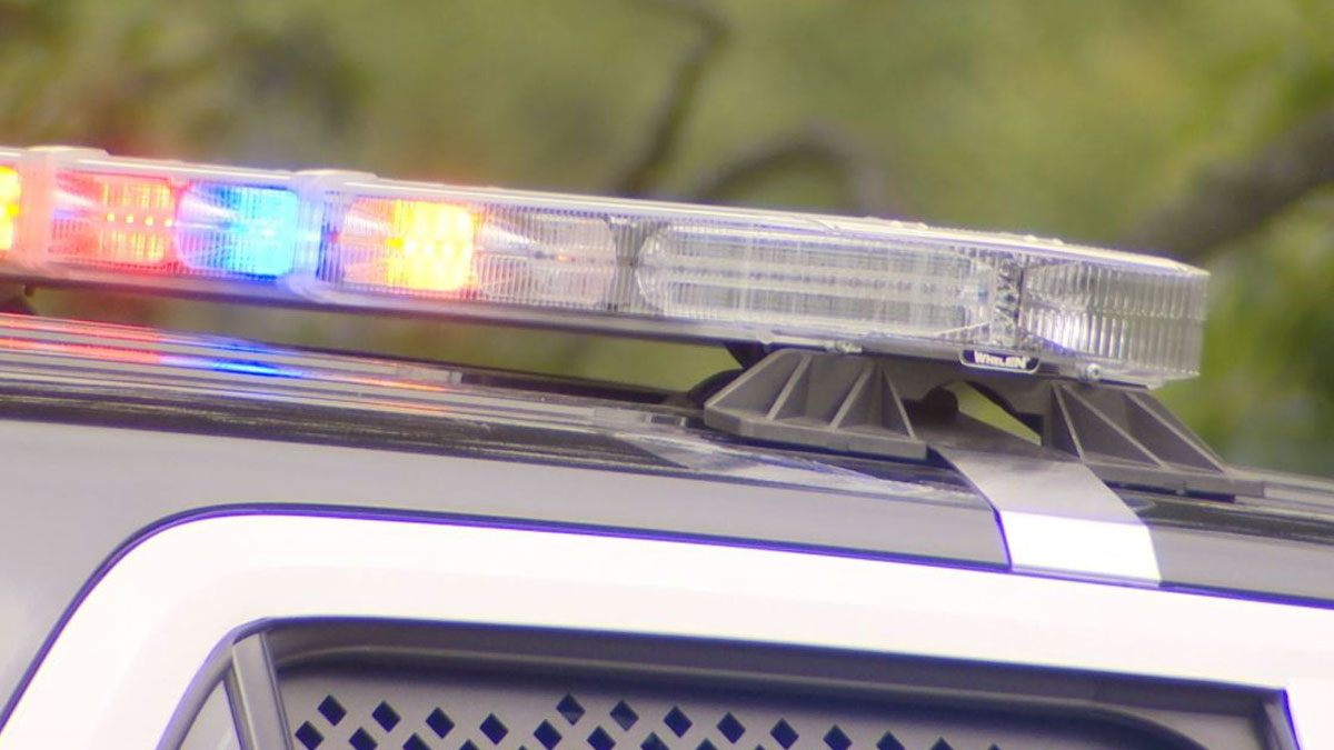 3 arrested following fight at youth basketball tournament in Berlin – NBC Connecticut