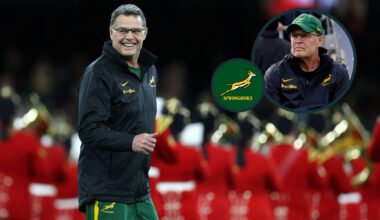 Springboks: Rassie Erasmus to receive South Africa's highest national honour