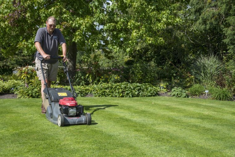 Lawn Care at RHS Garden Hyde Hall