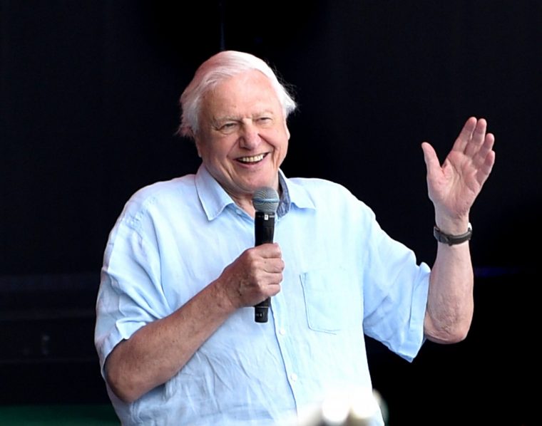GLASTONBURY, ENGLAND - JUNE 30: Sir David Attenborough addresses the crowd on The Pyramid Stage during day five of Glastonbury Festival at Worthy Farm, Pilton on June 30, 2019 in Glastonbury, England. (Photo by Shirlaine Forrest/WireImage)