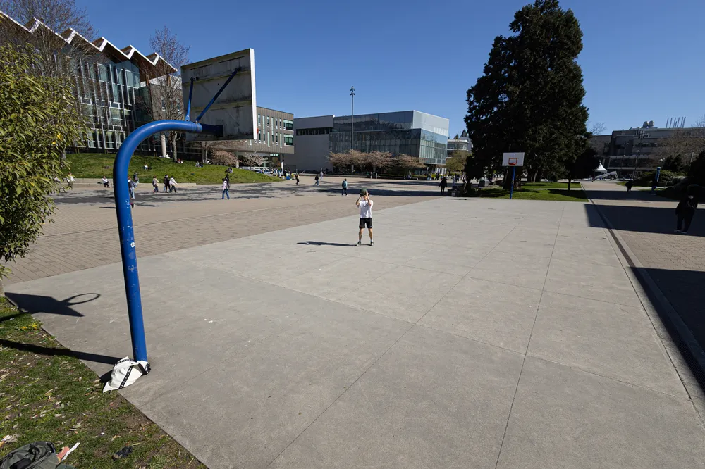 A wide view of the court by the Nest, with Ian preparing to take a shot.