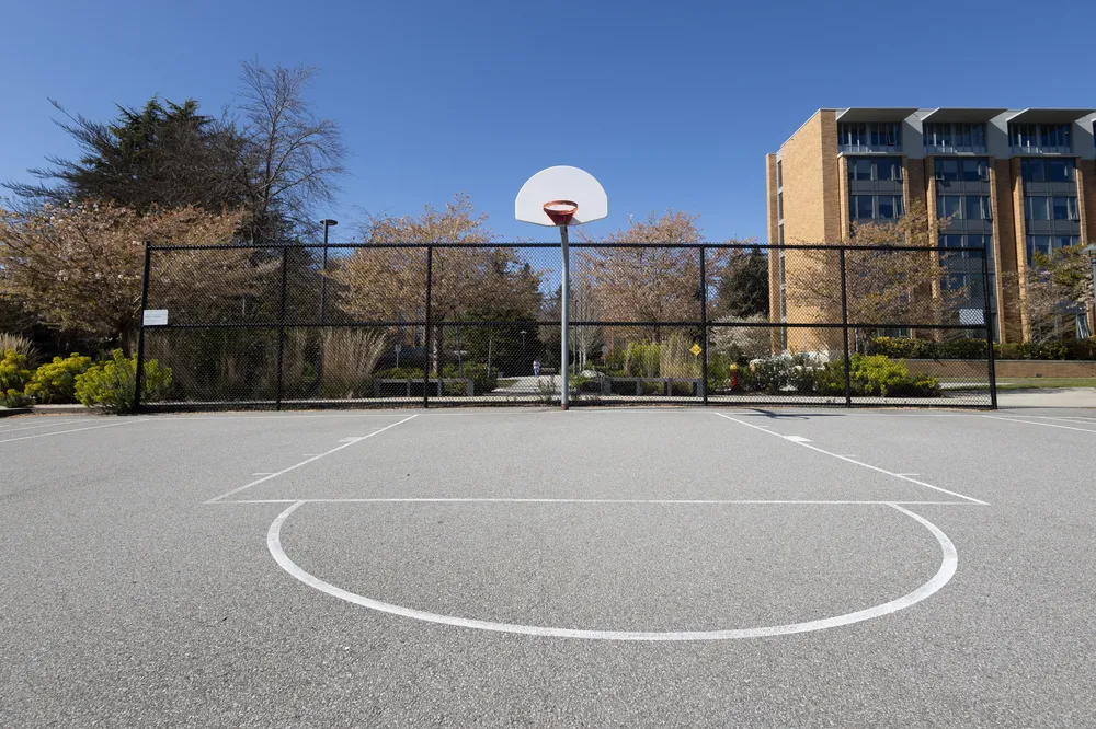 A view of the net at the Totem Park courts, with the residences in the background.