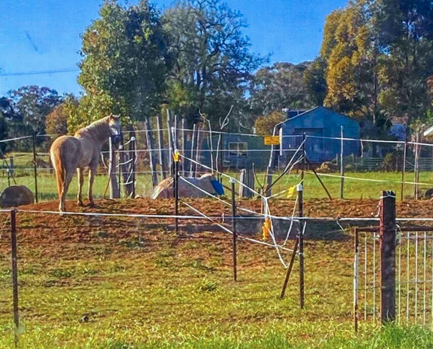Man fined $4,000 after fencing off community tennis court to house his horses