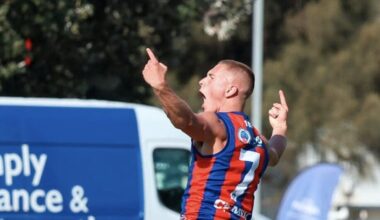 "Wouldn't be surprised": Former Bulldog tipped for AFL return