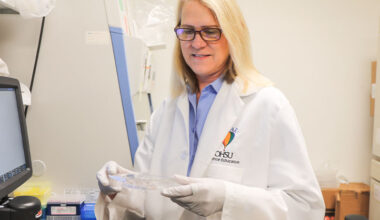Cancer-causing protein also helps tumors repair their DNA